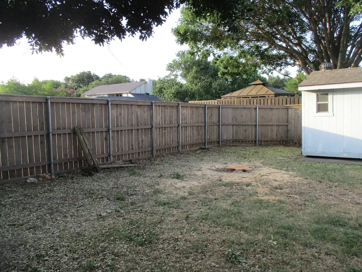 Cleared yard after professional tree removal in Rio Vista